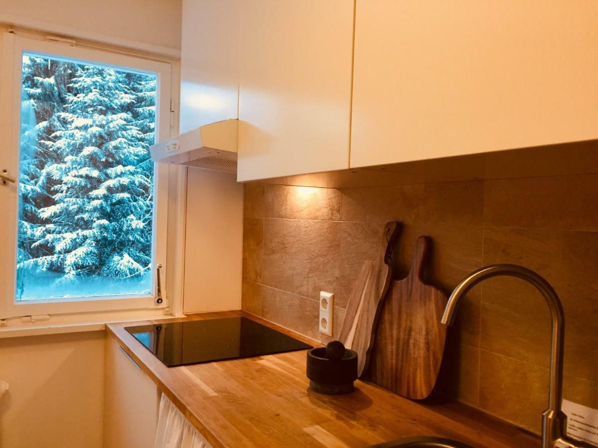 Ferienwohnung Boerner Kniebis Εξωτερικό φωτογραφία